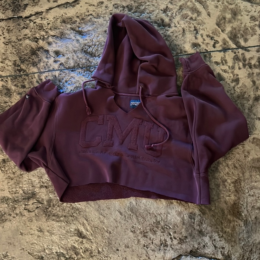 cropped sweatshirt
